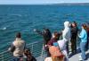 Fusing Indigenous Knowledge and Whale Watching on New Seattle Tour