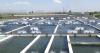 Armenian Government Hopes To Redirect Fish Exports To EU