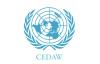 Nigeria Wins Election Into UN CEDAW