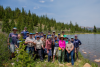 CPW and Denver Zoo Conservation Alliance reintroduce state endangered boreal toad tadpoles into historic alpine breeding site