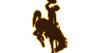 Cowgirls 1st, Cowboys 2nd at Wyoming Invite