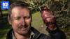 Olive industry 'buzzing' as diets fuel demand, farmers diversify
