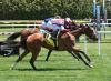 Making Waves: Frankel’s Consensus View The Star Of New York