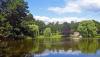 Help beautify Downing Park