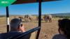 "Safari and wine tasting":US Baby Boomers flock to South Africa in travel boom