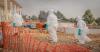 Ebola deaths exceed 300 in DR Congo: authorities