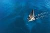 The Best Dual-Purpose Sailing Yachts for Racing and Cruising
