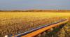 Fiber internet to expand across rural Wyoming as early as this spring