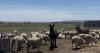 Wyoming business boom, America's 250th, and more...