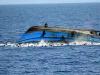 Three Afghan Migrants Drown on Iran’s Caspian Coast, One Still Missing