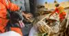 K-9 Units on the Frontlines: How Salvadoran Rescue Dogs Are Navigating Venezuela’s Collapsed Buildings.