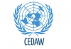 Sri Lanka elected to UN CEDAW Committee with highest number of votes