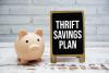 Understanding Your TSP Investment Options: A Guide to the G, F, C, S, I, L Funds, and Mutual Fund Window