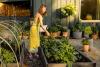 Pesticide Use Tied To Higher Breast Cancer Rates In Rural Counties, Study Finds