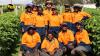 LABOUR MOBILITY PROGRAM TRANSITION TO THE ABG