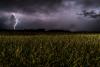 Storms hit Luxembourg: Heavy rain causes accidents and road disruption across Luxembourg