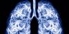 In a First, a Scientist Regrew a Human Lung in a Bioreactor. Is This the Dawn of Rebuilding Humans Piece by Piece?