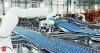 Punjab drug body finds critical lapses at Jackson Laboratories' manufacturing facility in Amritsar