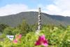 STA calls for respect for totem poles, culturally significant places in light of disrespectful social media trend