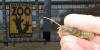 Nashville Zoo data center could threaten a federally endangered species with ‘limited’ habitat nearby