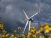 The Wind and Solar Surprise: Renewables Keep Winning