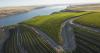 The How of Wine: Wonderful Washington Wines