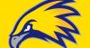 COLLEGE BASKETBALL: LCCC women fall to Eastern Wyoming