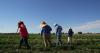 Unauthorized immigrants are key players in Idaho’s economy, agricultural sector, study shows