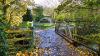 Wildlife in three areas of Rushcliffe now officially protected under law