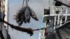 Global Ocean Protection is No Simple Equation