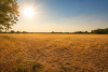 Sunburn risk rises as extreme UV forecast for Hungary