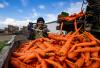 Farmers just one link in long supply chain