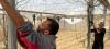 FAO: Israeli restrictions continue to hamper Gaza's agricultural recovery