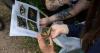 Community scientists uncover the hidden world at Teton Valley's first BioBlitz
