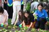 Leyla Aliyeva and Arzu Aliyeva participate in seasonal flower planting campaign on Baku Boulevard-