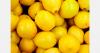 Zimbabwe’s citrus exports up 69% in the first four months of 2026