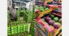 Senegalese mango season off to a strong start