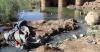 Iraqi parliament moves to address escalating Tigris, Euphrates pollution