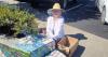 Morris mosaic approved for Nevada City's South Pine Street