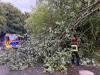 Substantial damage: Emergency services flooded with calls after severe storms sweep across Luxembourg