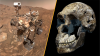 Science news this week: Life on Mars, weird water and a curious human cousin