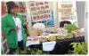 KALRO bets on forgotten fruits to transform Kenya's food future