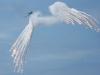 Taiwan detects 1 sortie of Chinese military aircraft, 7 vessels