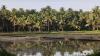 Agriculture department urges coastal Karnataka farmers to subscribe to crop insurance scheme