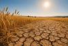 Climate Change, Pesticides, Productivity and a Continent Under Heat Stress