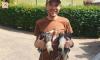 Researcher tracks unusual urban rise of woolly-necked storks in KZN
