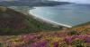 Somerset celebrates 10 years of the King Charles III England Coast Path
