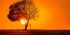 Extreme heatwave could break all-time Czech temperature record this weekend