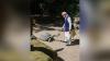 PM Modi visits tortoise enclosure, joins Seychelles President in tree plantation ceremony