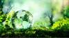 Experts: Expanding Green Energy Reflects Positively on the Economy